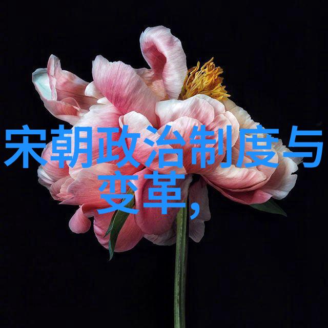 元朝贸易与经济丝绸之路的繁荣与国际市场的互动