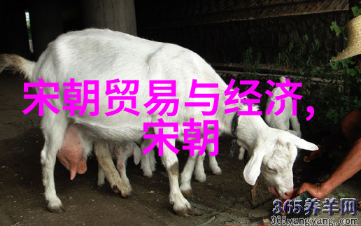 揭秘历史课本背后的真相如何看待明朝的丑化现象