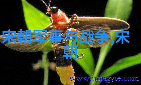 朱瞻基短命之谜历史的深渊与未解之缘
