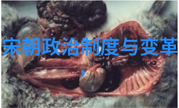 中国朝代历史图片古代中国的悠久朝代回顾