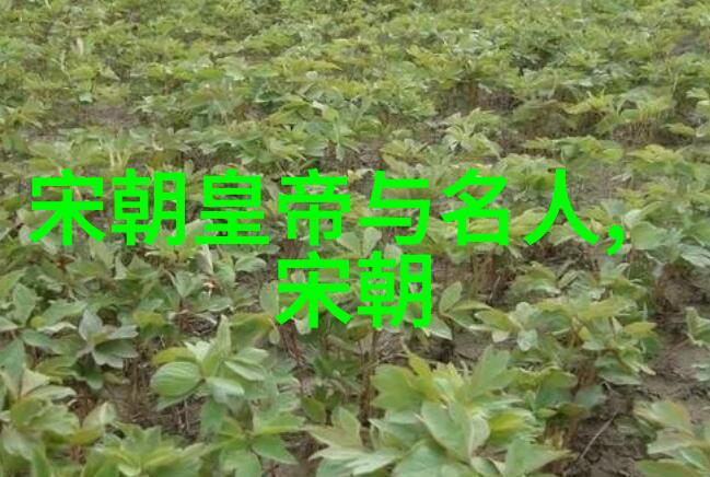 探索赵露思美食世界B的诱惑与满足感
