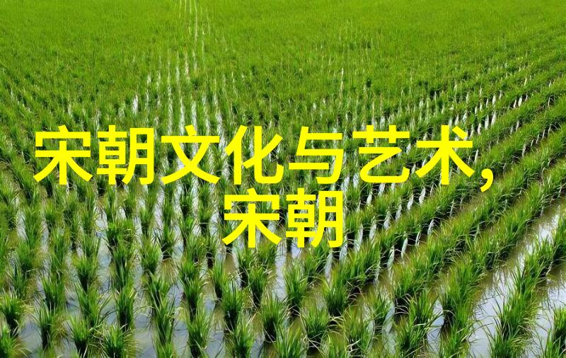 韩再芬黄梅戏小辞店的严凤英简直是旦行演员界的天才巨星