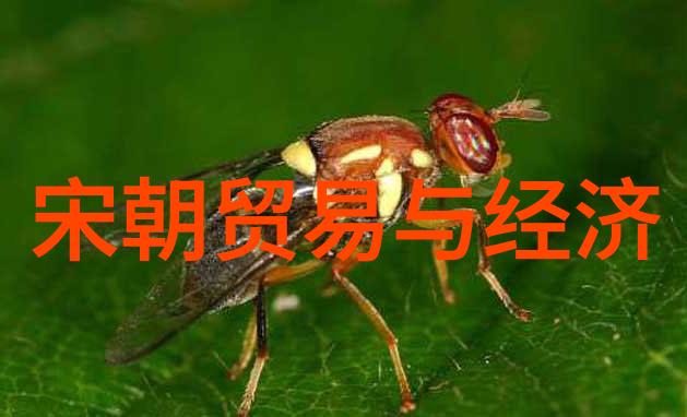 中国传统文化典故-穿梭古今探秘中国悠久的文化宝库