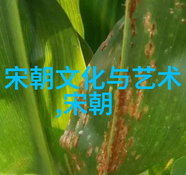 黄梅戏绘春秋探索安徽传统戏曲的韵味与魅力
