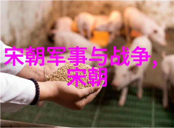 从黄帝到清朝历代王朝的兴衰与变迁
