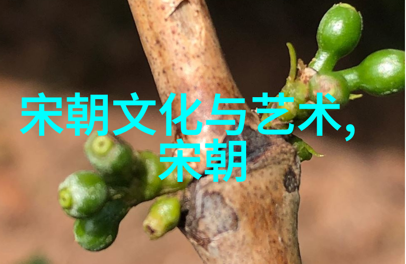 河南豫剧选段精选唱段赵兵伟票友之光演绎豫剧魅力