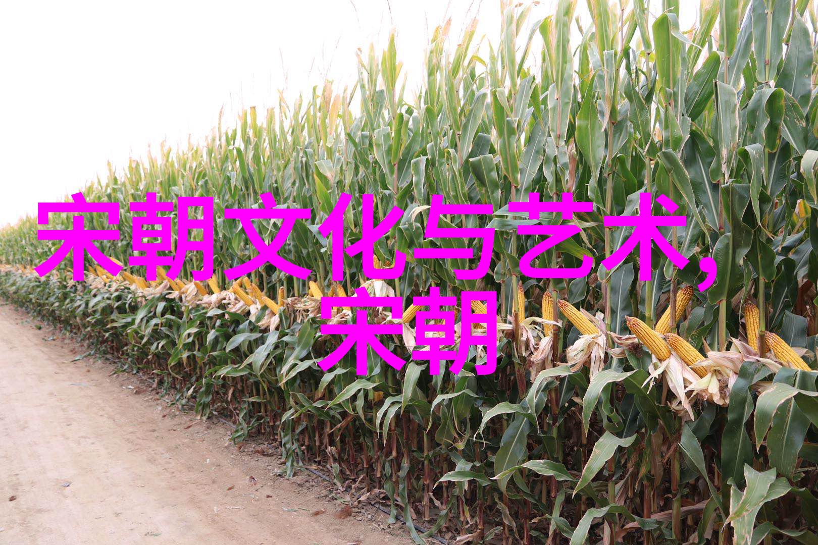 春晚上那些不太正常的表演是否预示着时代变迁中的某种不安