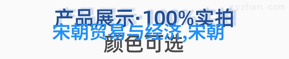 宋朝的转折从北到南的断裂与重建