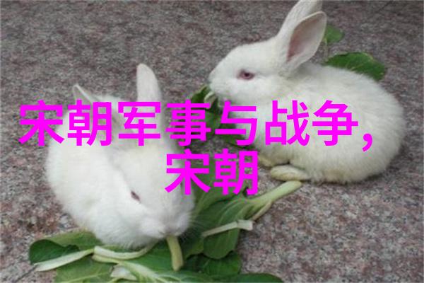 明朝大全我看完这本书就懂了明朝的兴衰