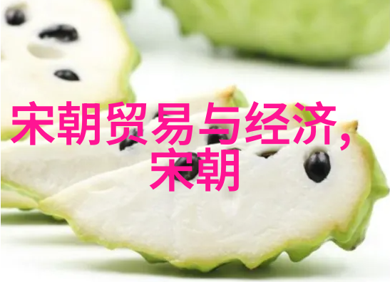 1644年北京陷落明朝灭亡的关键时刻