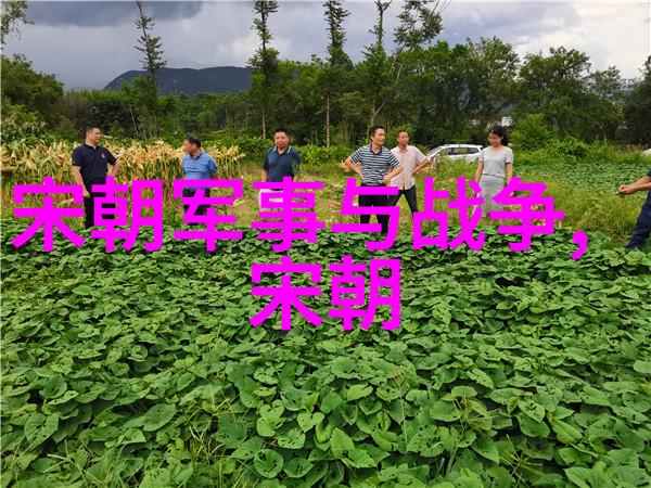 大明皇后孙若微简介我是孙若微一位守护大明江山的女子