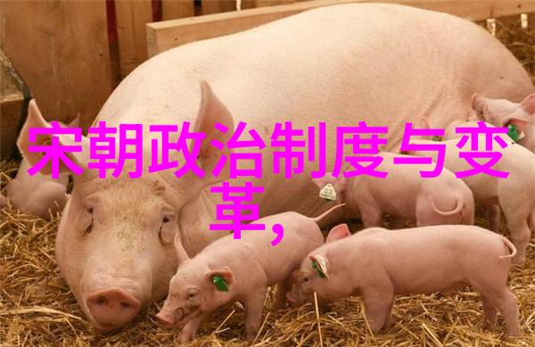 帝国兴衰录中国各朝统治者的政治理念对比分析