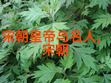明朝那些事儿续集大揭秘