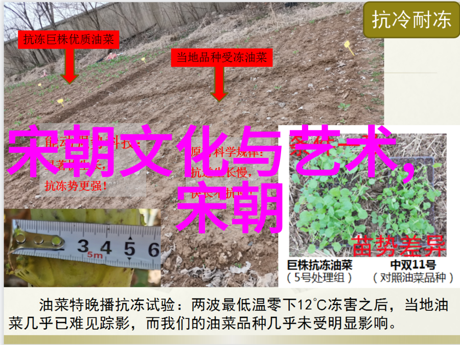 秦始皇统一六国后的一系列改革措施分析