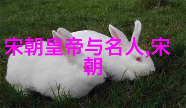 古代中国官职排名之谜从九卿到三公的权力游戏