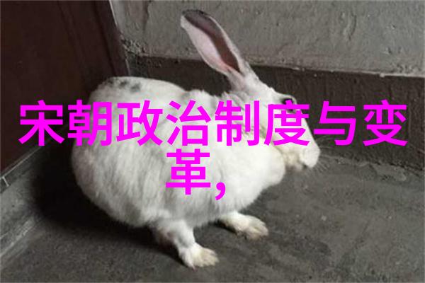 明朝血脉图荣耀与暗流