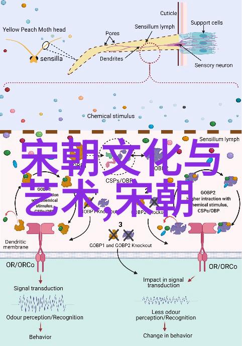元朝风华辽阔帝国的盛世辉煌