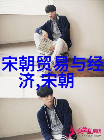 在军事上南宋如何应对金蒙古的侵扰和战争压力