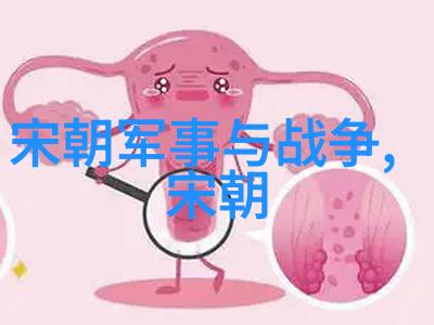 明末动荡李自成起义与清朝入主的历史转折