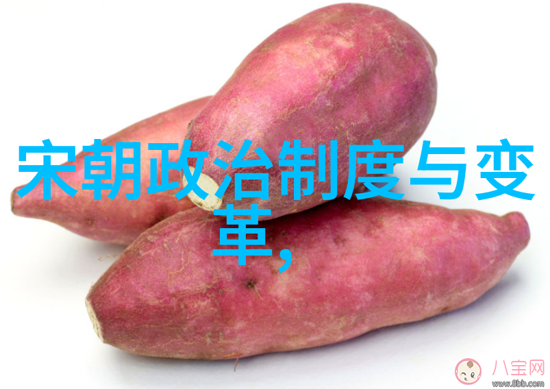 北周禅让给杨坚的历史背景与影响北周末期的政治格局杨坚的权力争夺和统一六朝