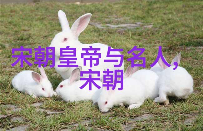龙袍的承载者明朝16位皇帝的光辉篇章