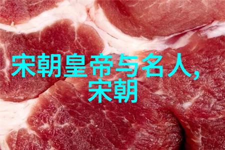 宋代历史事件北宋灭亡与南宋的苦难岁月