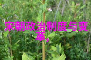 电影艺术探索我心中的肖申克的救赎