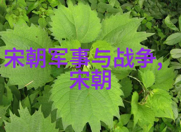 丰满大胸年轻继坶的魅力与挑战