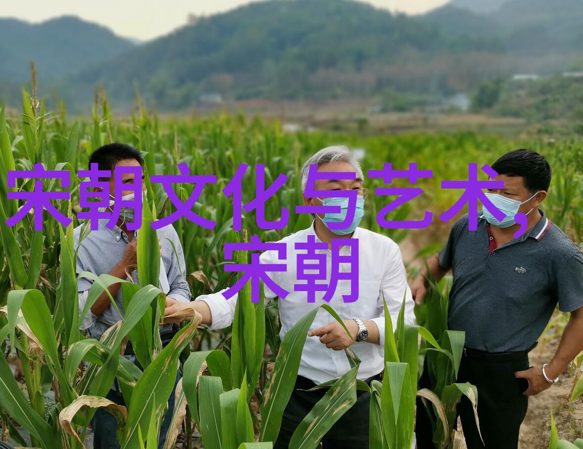 明朝最强大的武将及其战略奇迹