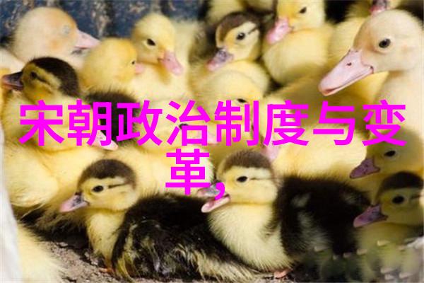 神木守护者森林中的守望者