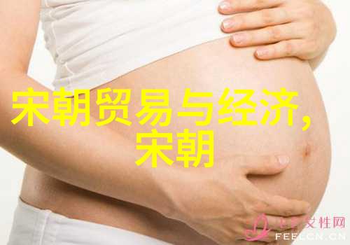 靖康之役在银幕上的再现刘亦菲主演电视剧的历史考证与艺术表达