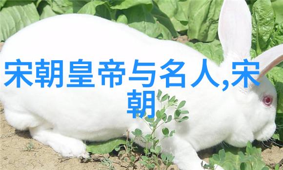 明朝秘史龙凤呈祥下的暗影舞会