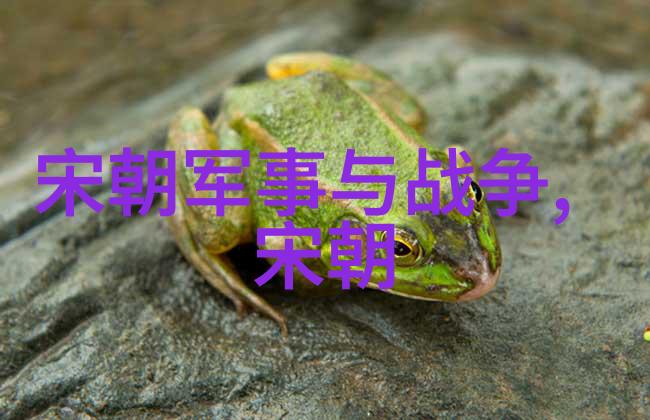 隋炀帝南巡悲剧一场不朽的大宴会