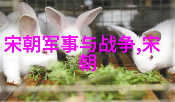 中国历史故事免费听我来给你讲讲那些古代豪杰的英勇事迹