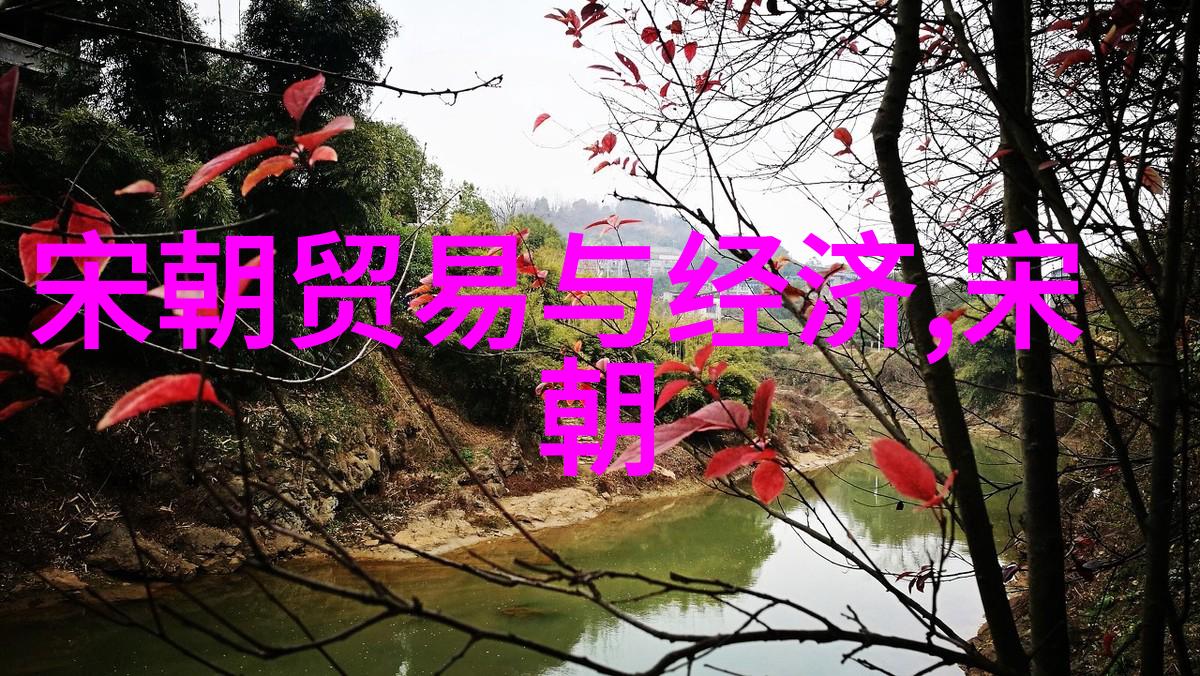 枪声与光影军事节目的战略编排与视觉盛宴