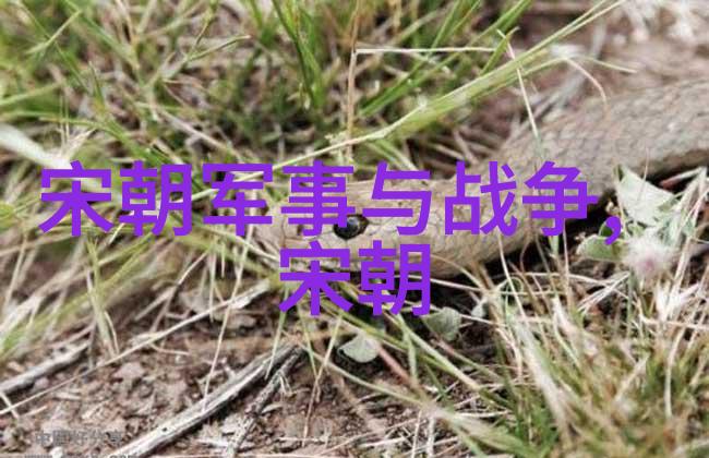 春日财运绘卷财神春花的生动画面