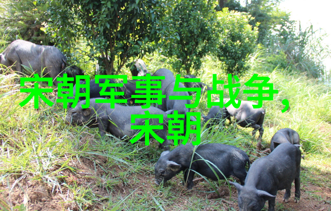 孙若微大明皇后的温婉之姿与坚定信念