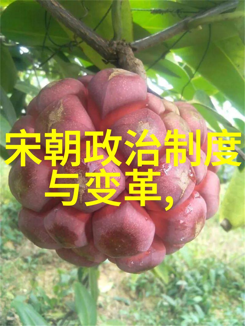 豫剧美轮美奂的抬花轿河南劳模豫剧表演艺术家张伟的故事