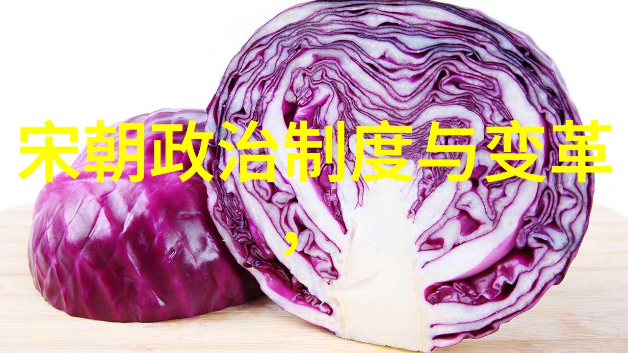 明朝重臣与民生之事