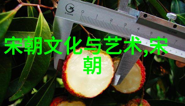 中国电视剧中的历史选择为什么忽略了元朝
