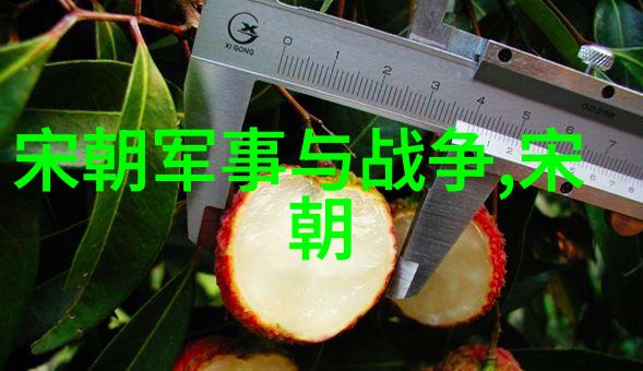 胡敌在中华论坛上激辩社会议题