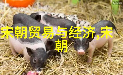 绘史简影中国历史朝代的兴衰变迁