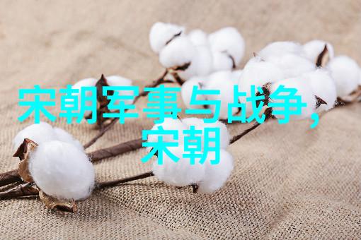 明朝继位之争朱厚熜与皇权的抉择