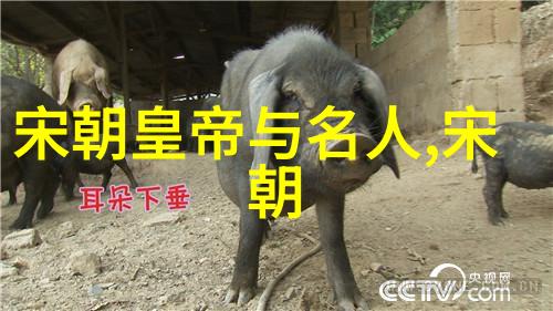 大元背后的历史意义与影响力