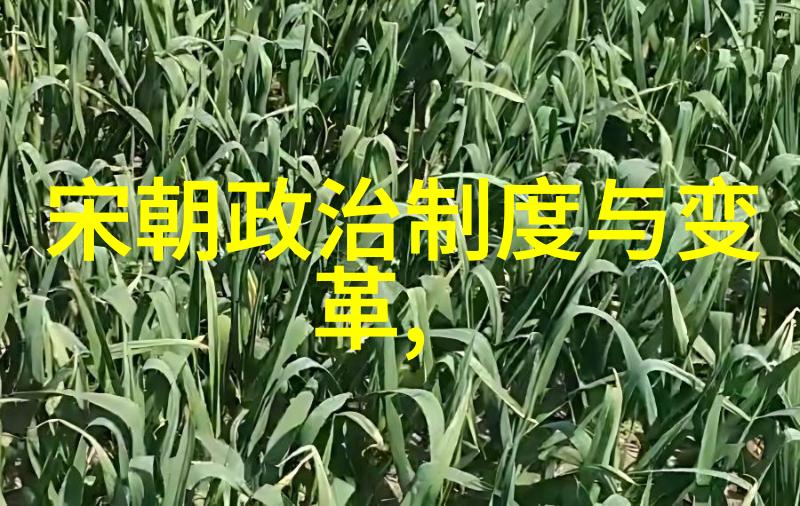 精品12揭秘久热夏季必备精选
