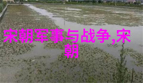 编织命名的艺术494位灵魂的故事