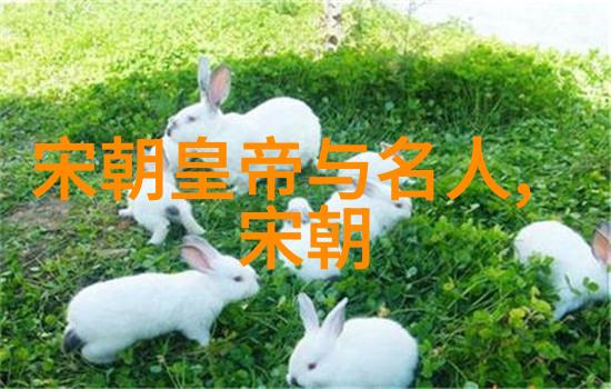 吴红军黄梅戏生行演员在社会舞台上的精彩表现简介