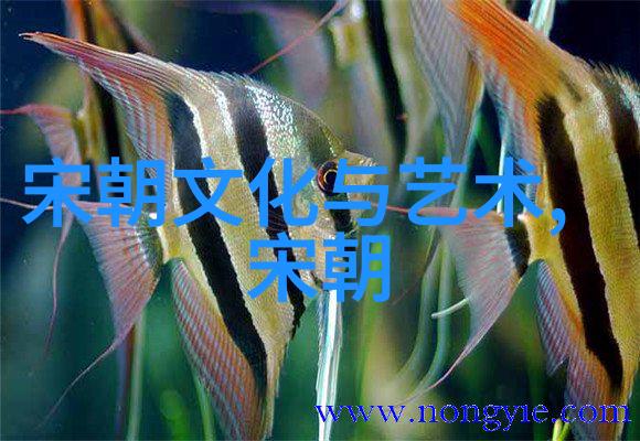 元朝的辉煌与衰落从忽必烈到铁木尔末帝的历史考察