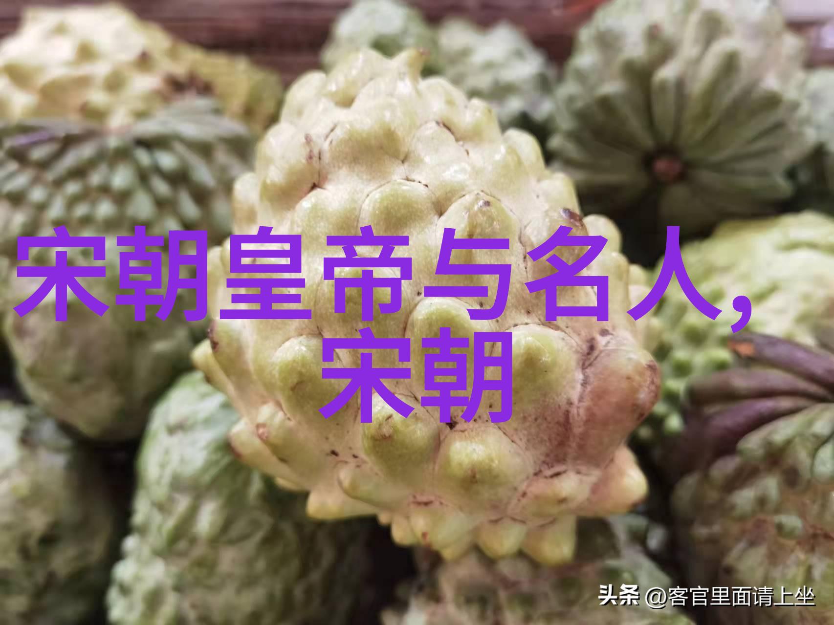 朱允文妻子结局沉默中的爱与遗憾