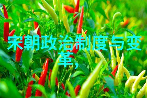 明朝衰落之始探索天启年间的转折点
